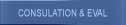 Consultation & Evaluation
