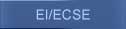 Early Intervention & Early Childhood Special Education